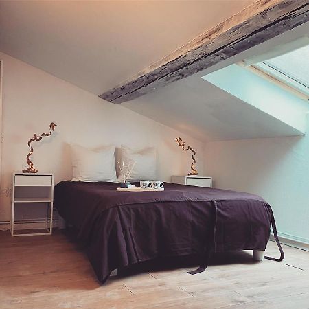 Superbe Duplex En Plein Coeur De Nancy น็องซี ภายนอก รูปภาพ