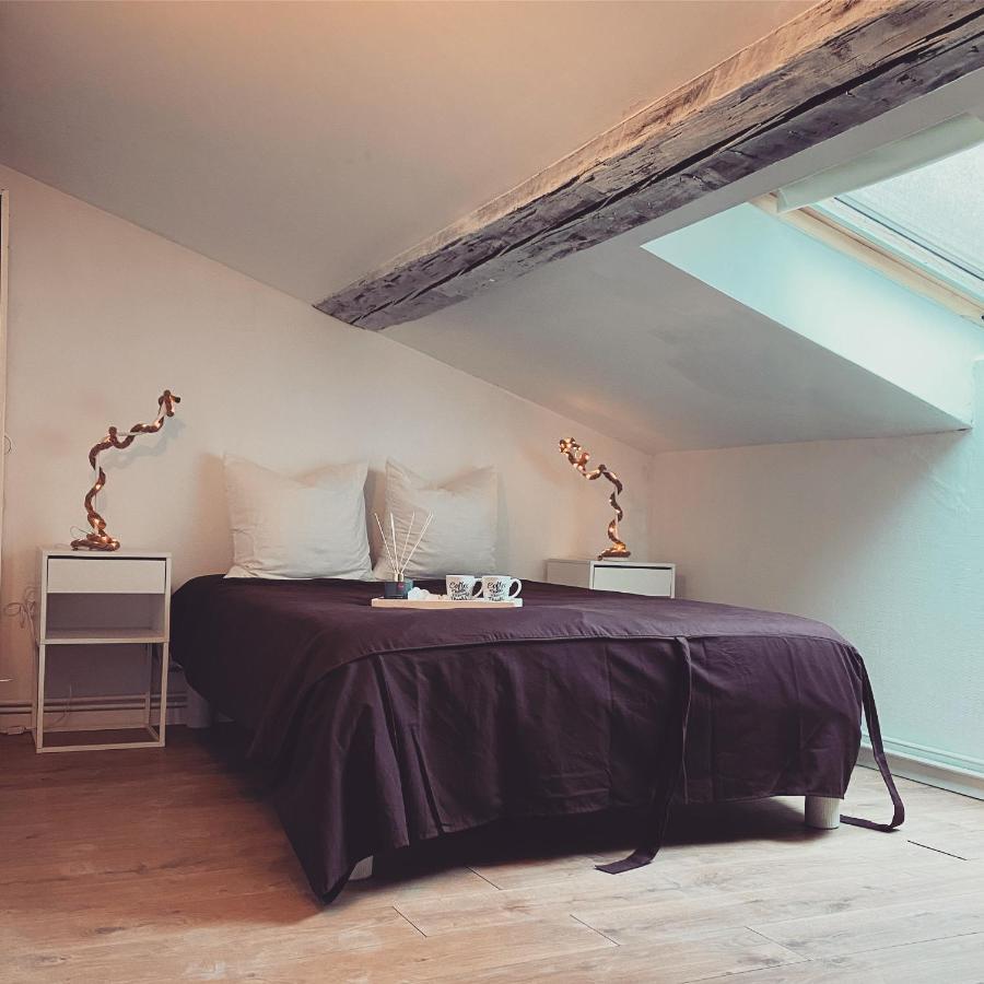 Superbe Duplex En Plein Coeur De Nancy น็องซี ภายนอก รูปภาพ