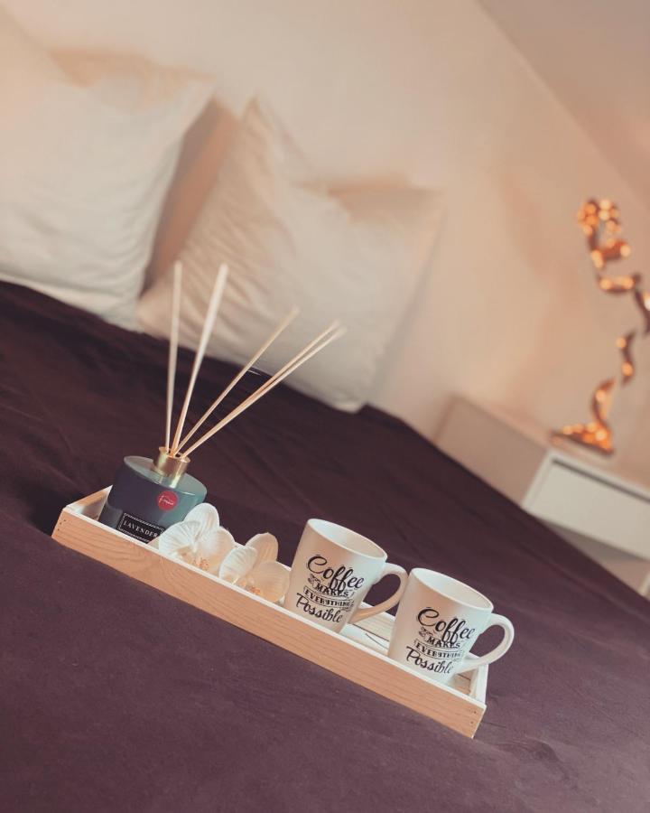 Superbe Duplex En Plein Coeur De Nancy น็องซี ภายนอก รูปภาพ